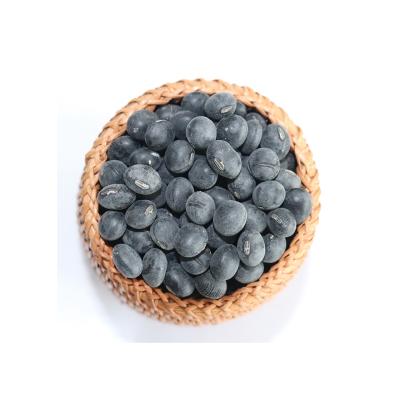 China Top Hot Selling Bag Good Quality Attractive Price Organic Black Beans Fresh Suitable for sale