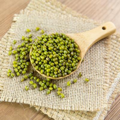 China No Addition Wholesale Price Green Mung Beans Export Dry Green Mung Beans for sale