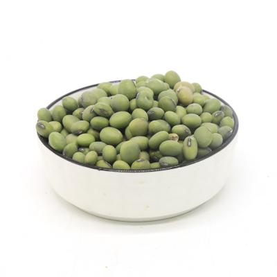 China No Addition Natural Organic Polished Green Mung Beans Big Export Green Mung Beans For Sale for sale