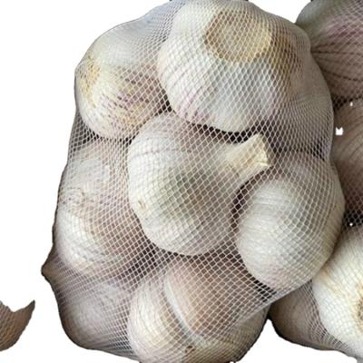 China Wholesale Garlic Export High Quality Chinese Fresh Bulk Garlic Fresh Garlic for sale