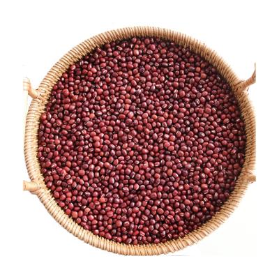 China Diameter 6mm Small Fresh High Quality Red Organic Soybeans Non GMO From Manufacturer for sale