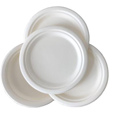 China Guangdong Disposable Sugarcane Fiber Disposable Manufacturer Plates Compostable Green Bagasse Paper Plate With Restaurants Wedding for sale