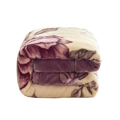 China Sustainable Chinese Supplier New Fashion Customized Winter Raschel Double Covering Thicken Warm Comforter Coral Velvet Cover Blanket for sale