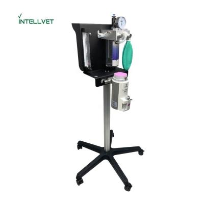 China Animal Anesthesia Machine Medical Equipment Equipment Icu Surgical Anesthesia Machine With Good Discount for sale