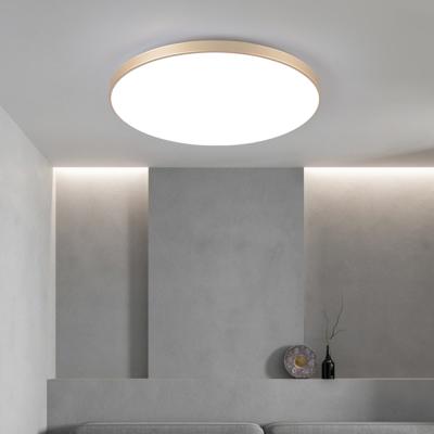 China Dingdian LED High Brightness Ultrathin Energy Saving Room Led Lights Ceiling 48W Led Ceiling Panel Light For Kitchens Home Decoration for sale