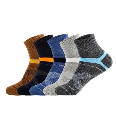 China New Design Custom Logo OEM Basketball Sport Socks Men Athletic Socks Soccer Cotton Stripe Socks for sale