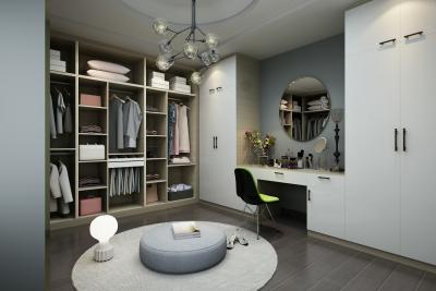 China Customized Size Closet Organizer Systems , Panel Board Walk In Closet Storage Systems for sale