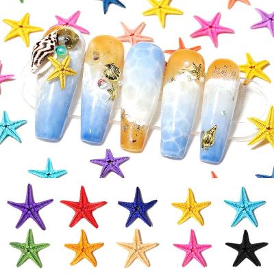 China Easy Apply 3D Starfish Nail Decorations Summer Beach Style Colorful Natural Nail Accessories for sale