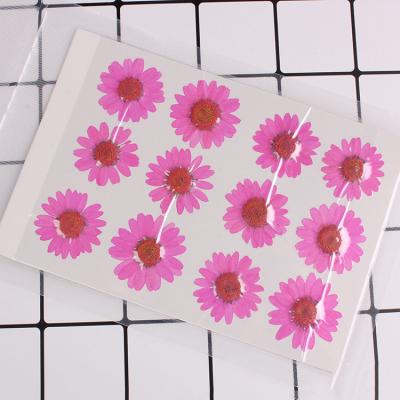 China Easy Apply 12pcs/bag Dried Flowers For Nails Bulk 3D Nail Art Dried Flowers Acrylic UV Gel Nail Salon for sale