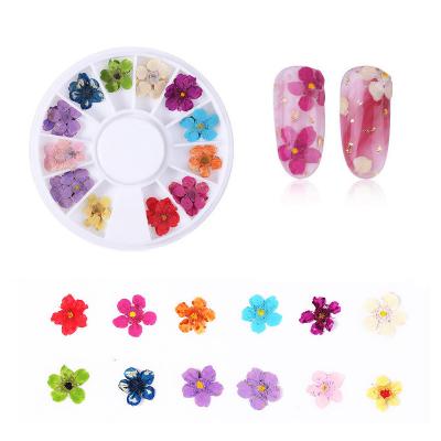 China Easy Apply Dry Flowers Nail Art Decoration DIY Natural 3D Beauty Nail Dry Flower for sale