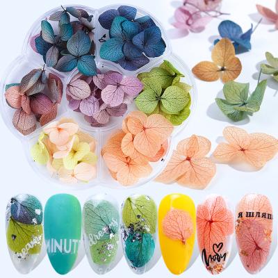 China Easy Apply Natural Dry 3D Flowers Nail Art Decorations Dry Flowers Nail Art for sale