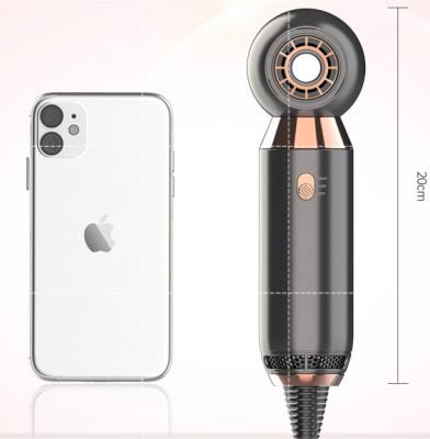 中国 370g大広間800Wの拡散器が付いている携帯用毛の打撃のドライヤー 販売のため