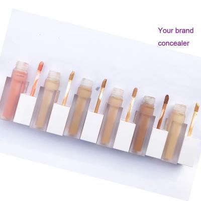 China Concealer No Logo 6 Colors Liquid Concealer Waterproof Oil Control Private Label Concealer Pencil for sale