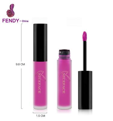 China Waterproof Professional OEM Colorful Lip Gloss Long Lasting Makeup Lip Gloss for sale