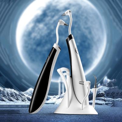 China Portable Electric 5 Different Head Replacement LED Tooth Remover For Stone Removal Tooth Remover for sale