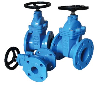 China Factory General Wholesale Different Sizes Cast Iron Seat Flange Rubber Gate Valve With Prices for sale