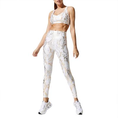 China Women Gym Anti-UV Equipments Sport Printed Wear Womens Snake To Work Out Sets for sale