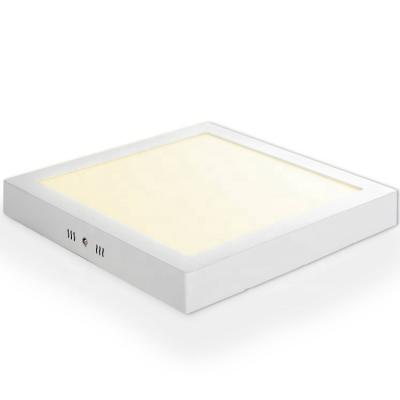 China 2021 New Super Bright Aluminum LED Panel Light 24W LED Outdoor Mounted Modern Ceiling Light for sale