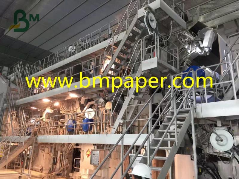 Geverifieerde leverancier in China: - GUANGZHOU BMPAPER CO.,LTD