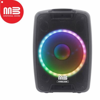 China Best Selling Goods Using Battery Party Rechargeable Twin Portable Speaker MS-8010POL for sale