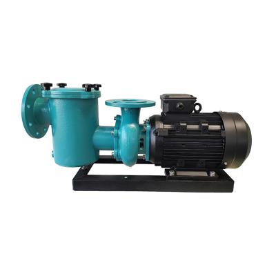 China High Quality Cast Iron Electric Motor 5HP Swimming Pool Water Pumps for sale