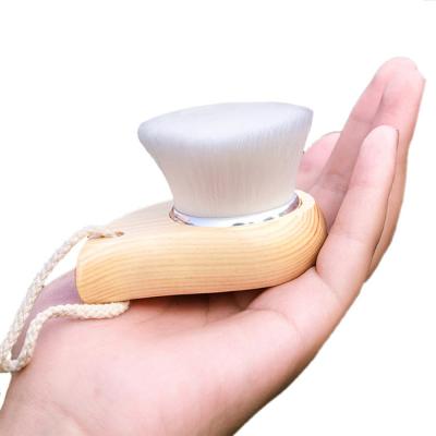 China Angular Blush CLIONE Brand #100 High Quality Private Label Exfoliating Pore Facial Brush Remover Face Wash Cleansing Brush for sale