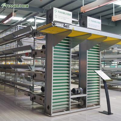 China Farms Factory New Product Layer And Automatic Poultry Farming Equipment Cage for sale