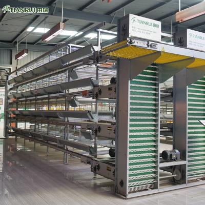 China Automatic Galvanized Farms Poultry Farm Cage Poultry Farm Battery Chicken Animal Cages For Layer for sale