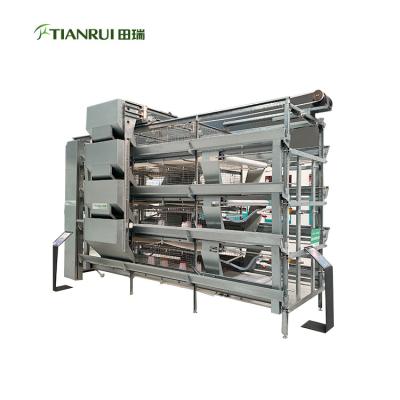 China Farms H Type Pullet Chicken Poultry Equipment Used In Poultry Farm Full Automatic Cage Raising System for sale