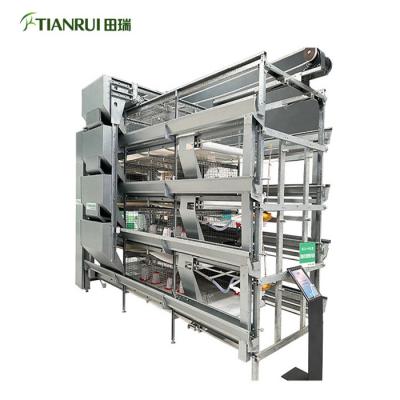 China Farms Hot Dip Galvanized H Type Automatic Chicken Farm Day Pullet Equipment for sale