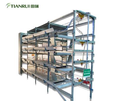 China Farms Factory Hot Sale Price H Type Best Automatic Galvanized Chicken Broiler Cage For Sale for sale