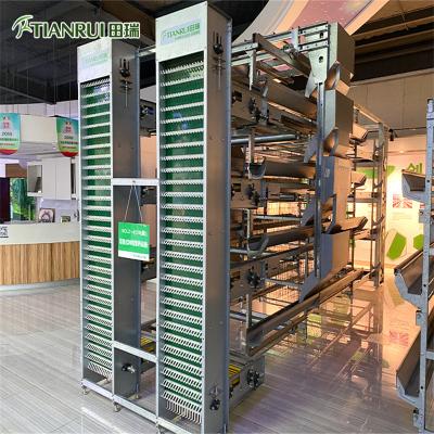 China Heat Sealed Farms Cages Modern Sheet Breeder Hot Galvanized Hens Cages Chicken Cage for sale