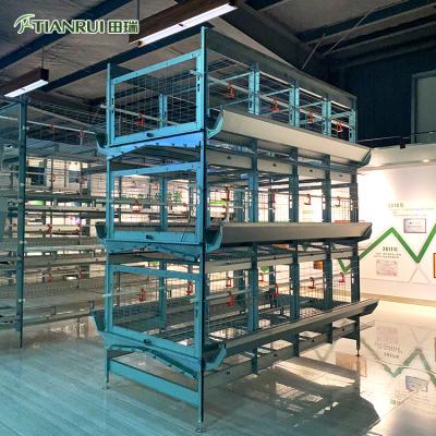 China Farms Poultry Farm Chicken Galvanized Cage Hens Cages Breeder Cage for sale