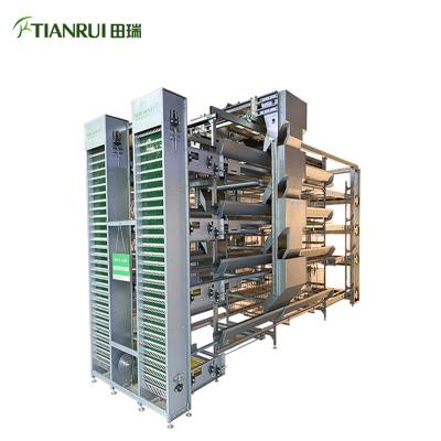 China Full Automatic Manufacturer Automatic Battery Breeder Cage Cages For Chicken Farm for sale