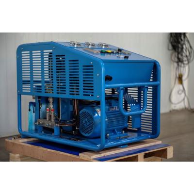 China 100% Oil Free Industrial Medical Compressor Machine Hospital Compressor Oxygen Gas Compressor Supplier for sale