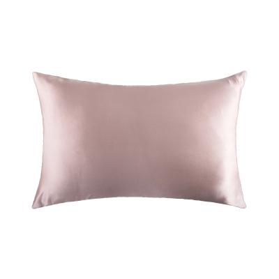 China Low Moq Sustainable Private Label 100% Stain Soft Pure Silk Mulberry Pink Mulberry Pillow Cover Case for sale