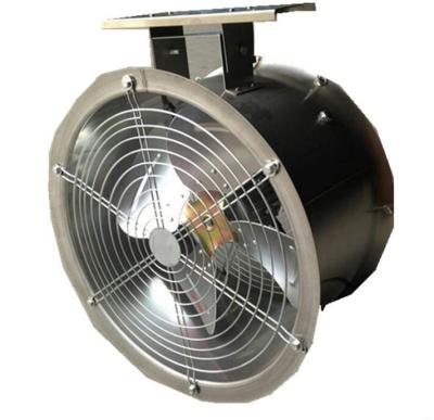 China Agricultural High Temperature Humidity Cooling System Circulation Fan For Greenhouse Ventilation Motor-Drive Directly for sale