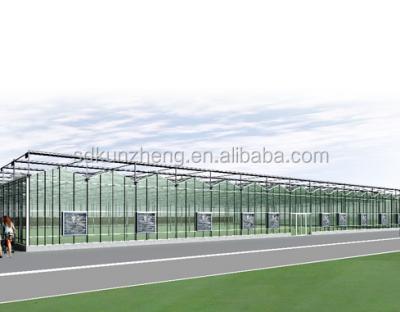 China Greenhouse Vegetable Equipment Multi Span Protective Plastic Film Tarpaulin for sale