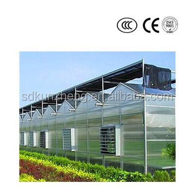 China Easily Assembled Agricultural Greenhouse / Polycarbonate Greenhouse / Greenhouse Kits for sale