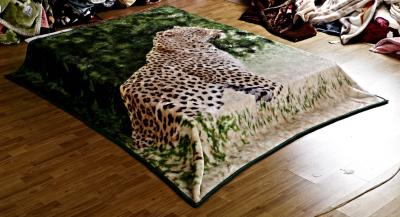 China Leopard Printed Micro Raschel Throw Blanket , Eco Friendly Lightweight Fleece Blanket for sale