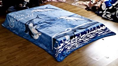 China Blue Color Raschel Fleece Blanket Oblong Shaped 160x220cm 180x230cm Sizes for sale