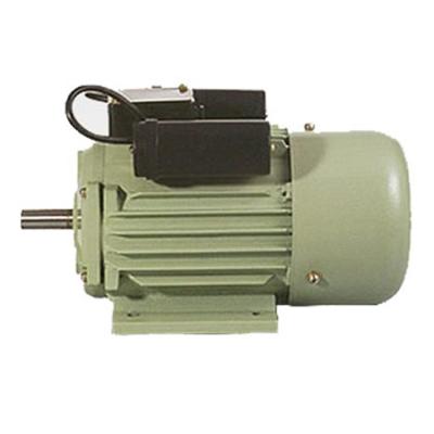 China Totally Enclosed 3 KW Base Mounted Single Phase Motor (DM 100 L2) for sale