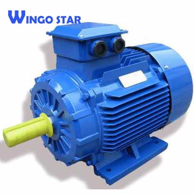 China WINGO STAR IEC standard three-phase electric motor totally enclosed for sale