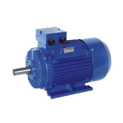 China Chinese Motor Manufacturer Totally Enclosed MS Three Phase Electric Motor for sale