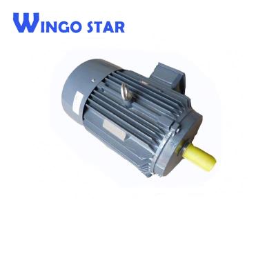 China Totally Enclosed Waterproof Three Phase Electric Motor 22kw Cooling Tower Fan Motor for sale