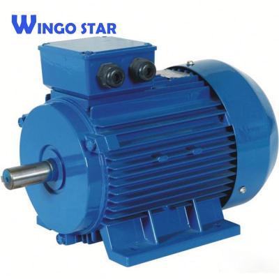 China Electric motor of 0.55kw y2 of three-phase asynchronous induction totally included as standard for sale