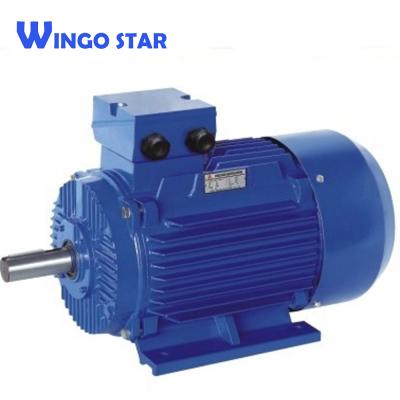 China Totally Enclosed IE1 / IE2 Y2 Series AC Industrial Three Phase Electric Motor for sale