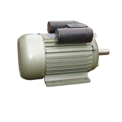 China Totally Enclosed YL100L-2 3 Kw Single Phase Electric Motor for sale