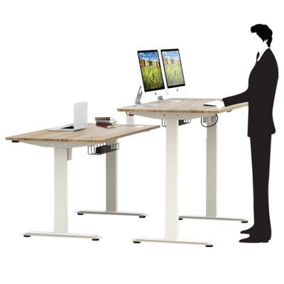 China Cheap Price Adjustable PC Desk High (Height) Adjust Electronic Computer Desk Electric Standing Desk For Sale for sale