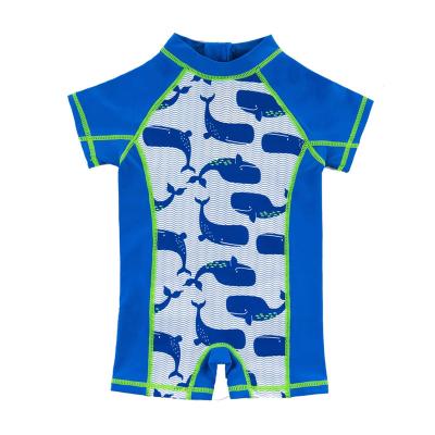 China Boys Breathable Cute Animal Swimwear Dolphin Print One Piece Shorts Sheath Swimwear For Kids Boys Summer for sale